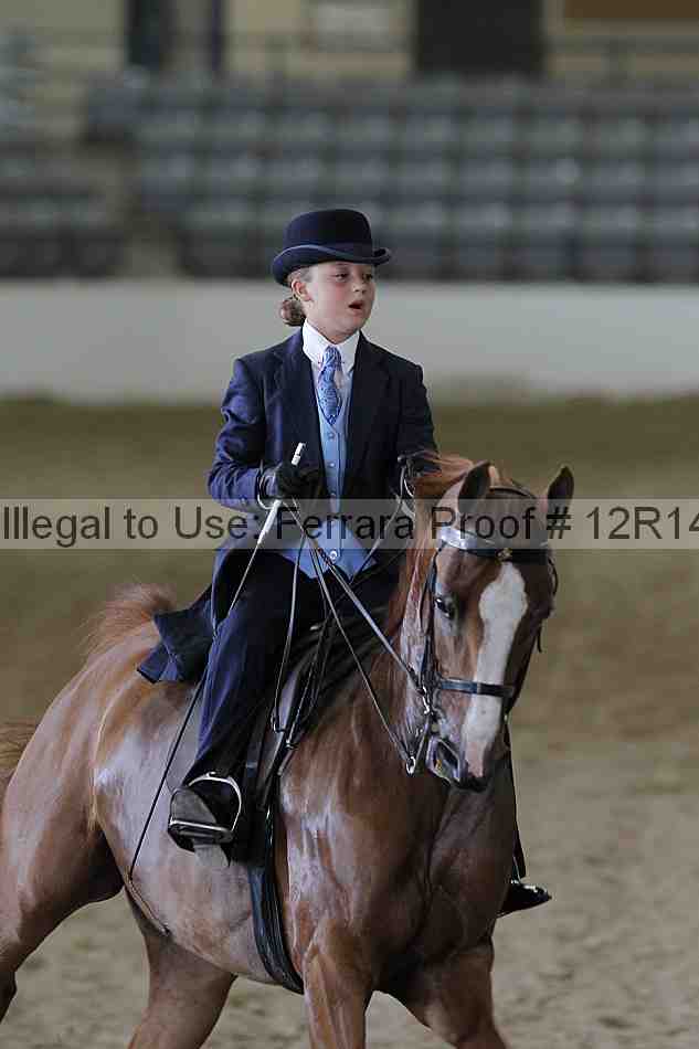 Proof 12r14_2124