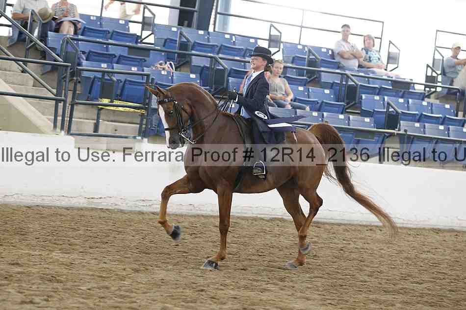 Proof 12r14_2136