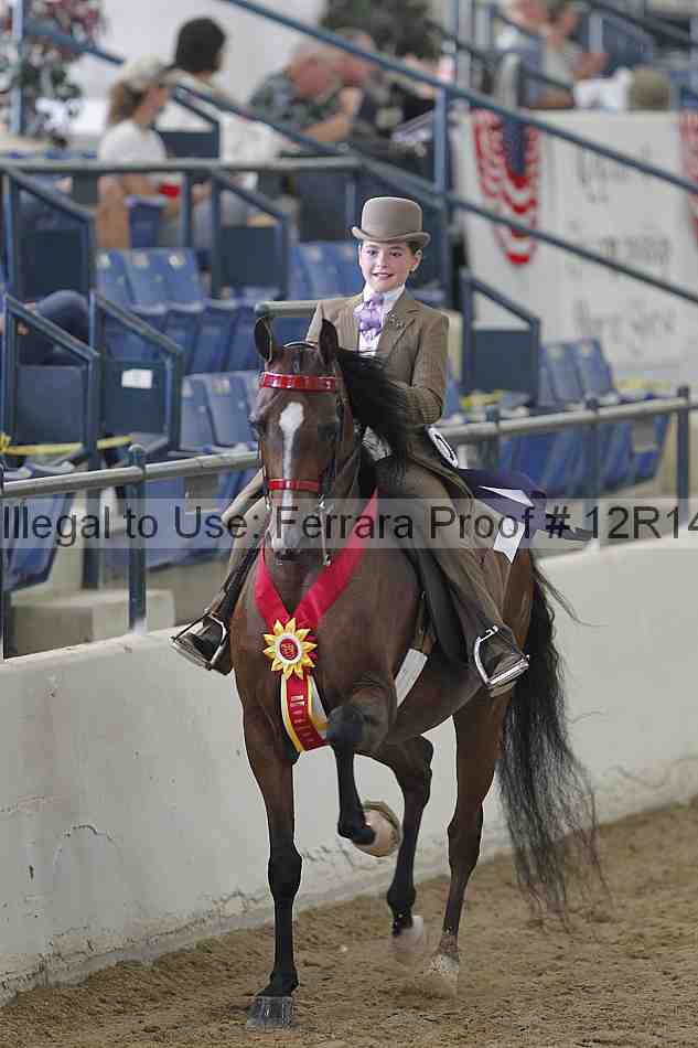 Proof 12r14_2145