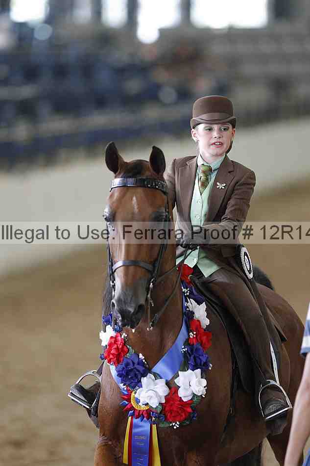 Proof 12r14_2148