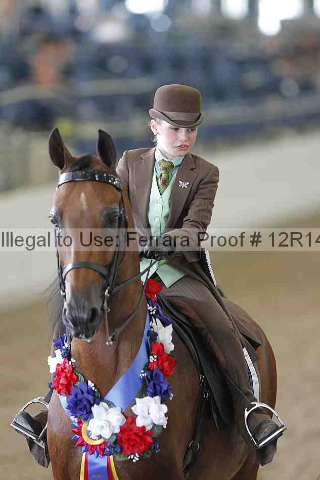 Proof 12r14_2149