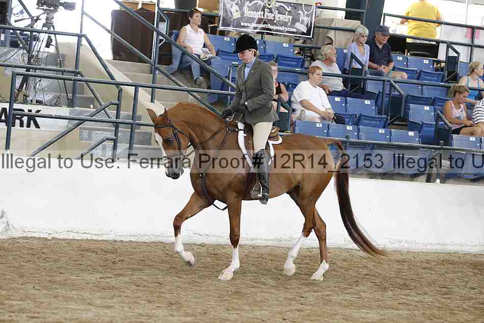 Proof 12r14_2153