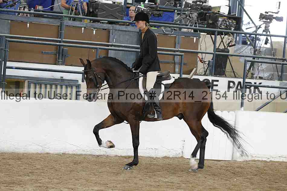 Proof 12r14_2154