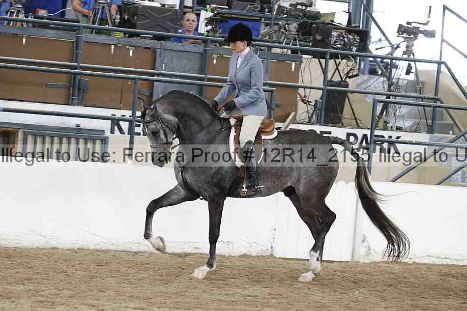 Proof 12r14_2155