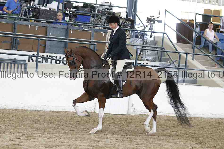 Proof 12r14_2158
