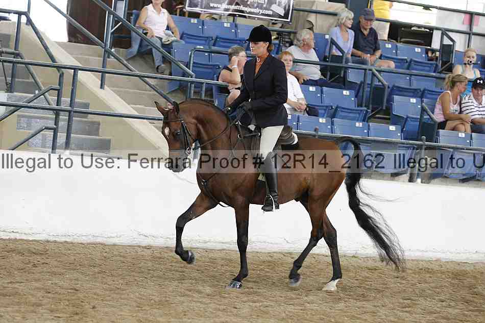 Proof 12r14_2162