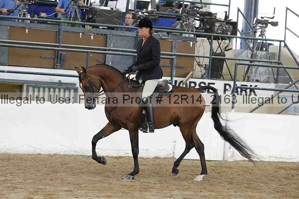 Proof 12r14_2163
