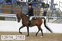 12r14_2163 proof
