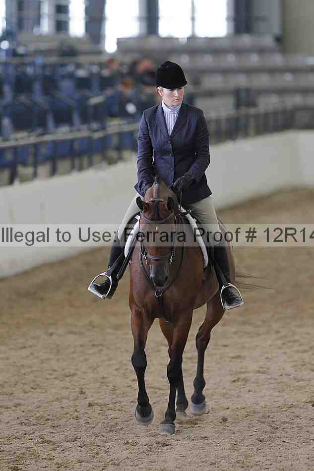 Proof 12r14_2165