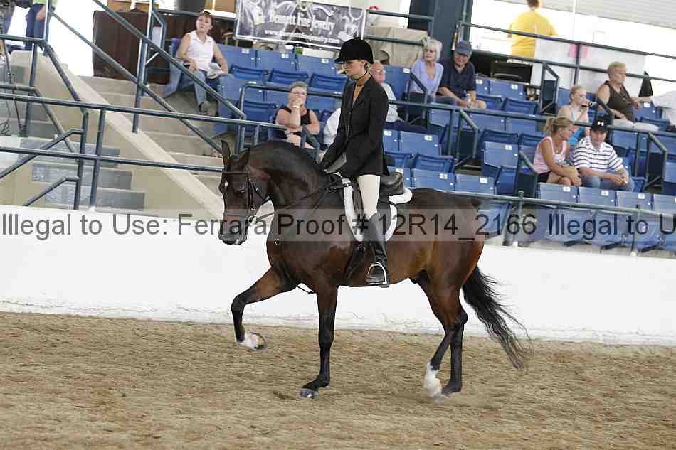 Proof 12r14_2166