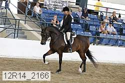 12r14_2166 proof