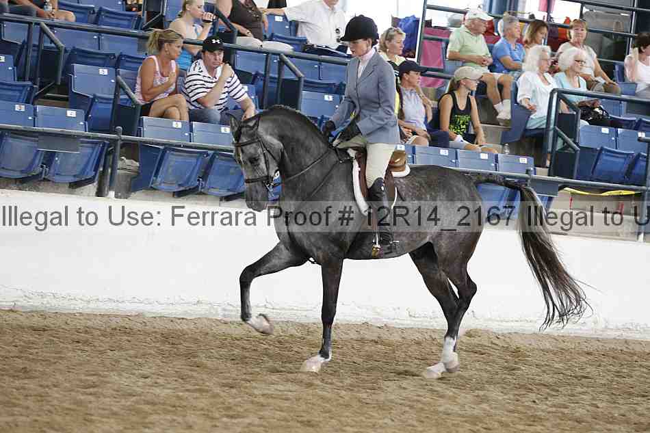 Proof 12r14_2167