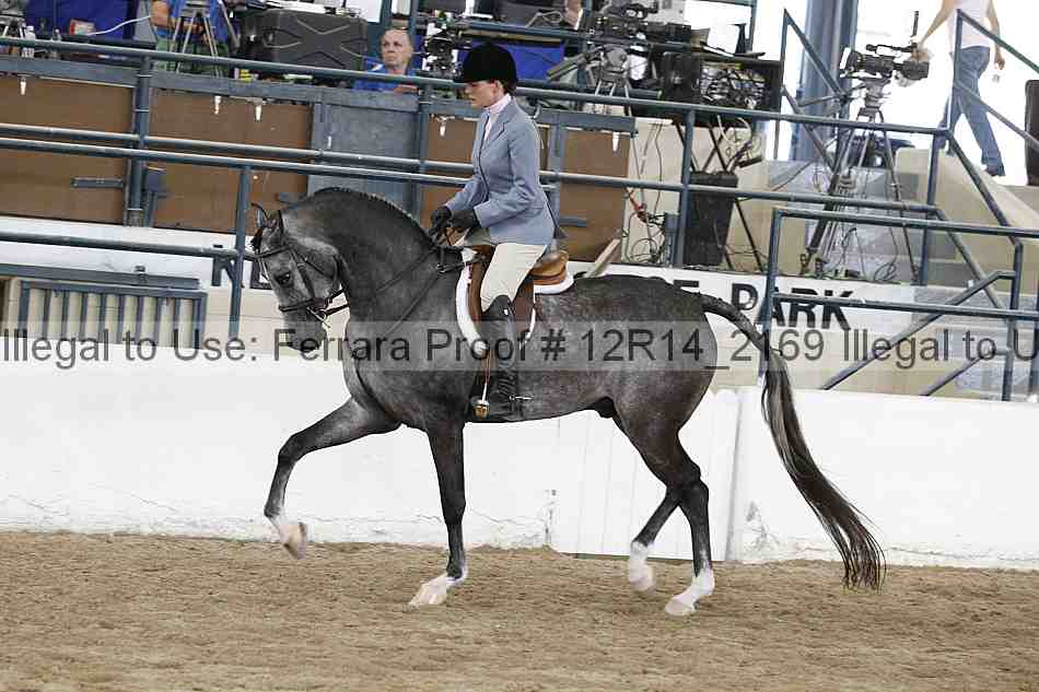 Proof 12r14_2169