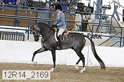 12r14_2169 proof