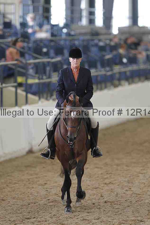 Proof 12r14_2170