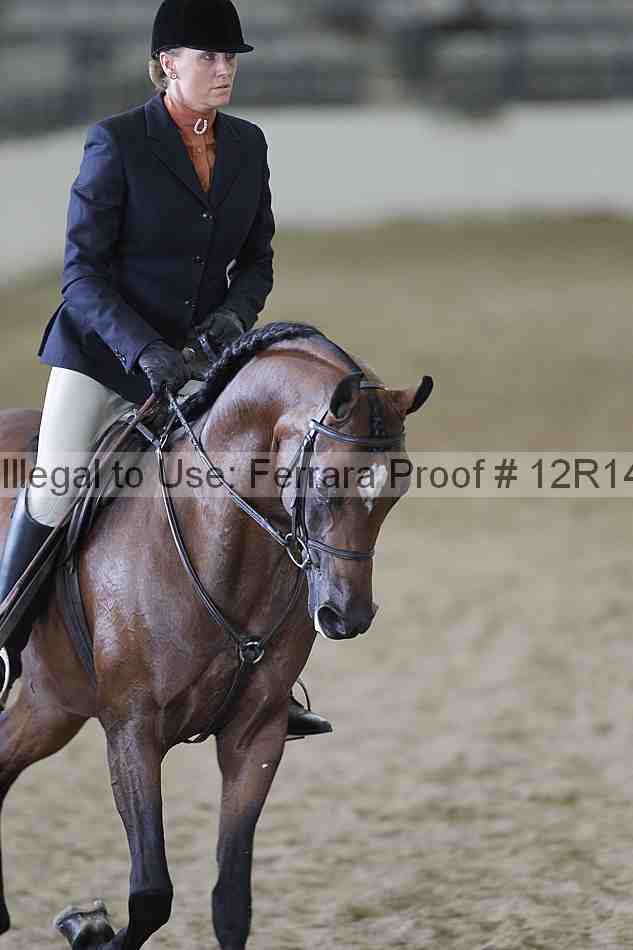 Proof 12r14_2172
