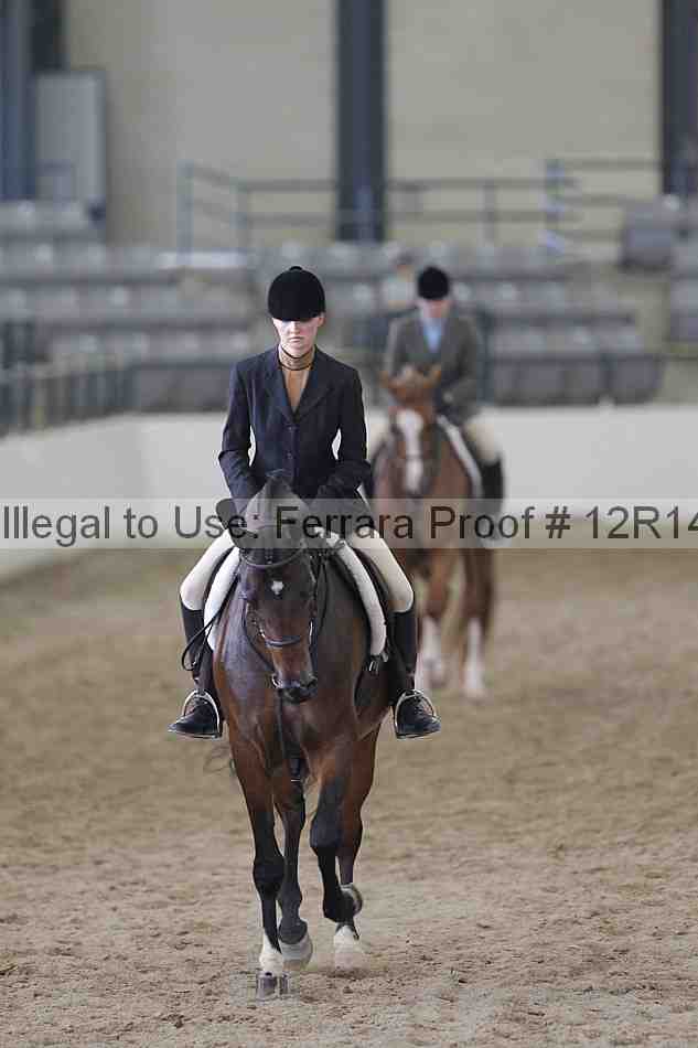 Proof 12r14_2173
