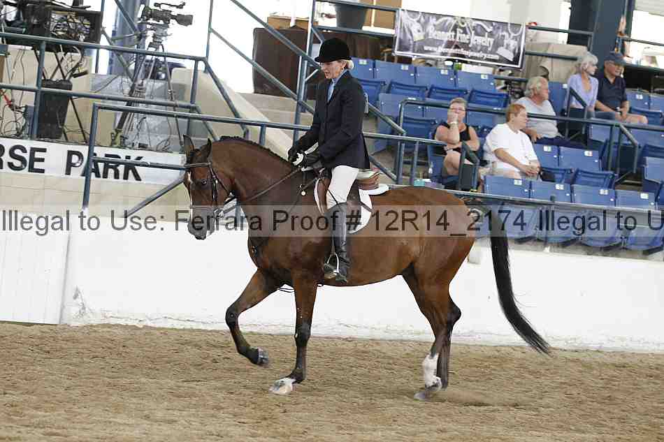 Proof 12r14_2174