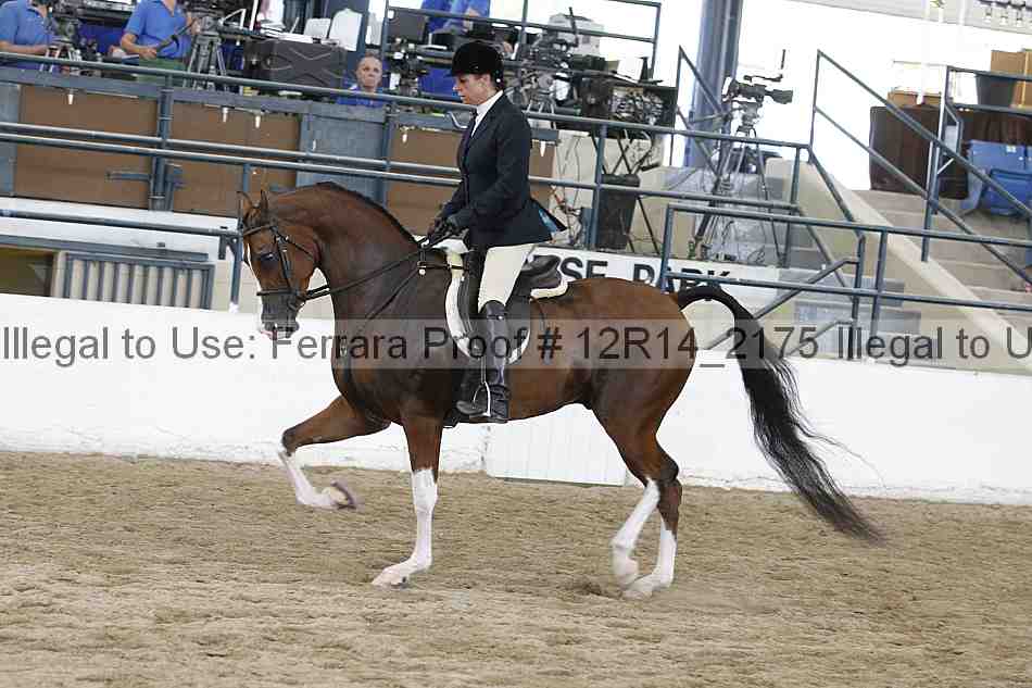 Proof 12r14_2175