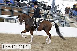 12r14_2175 proof