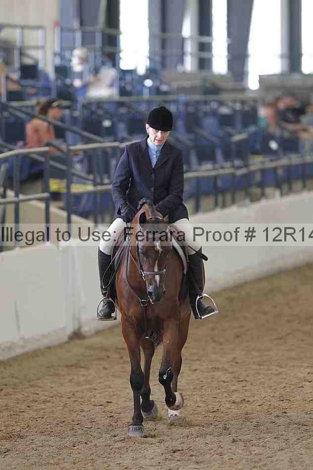 Proof 12r14_2176