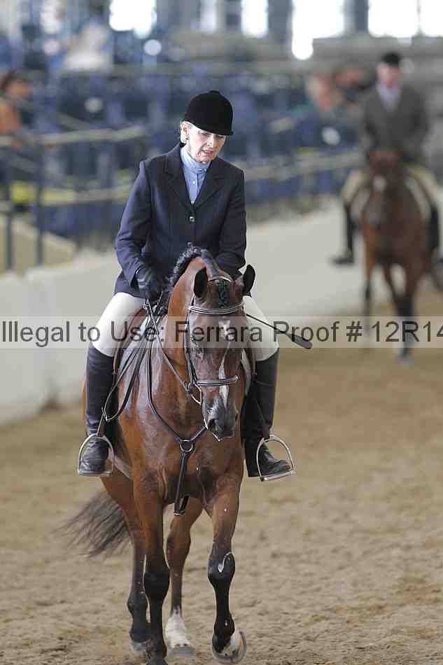 Proof 12r14_2177