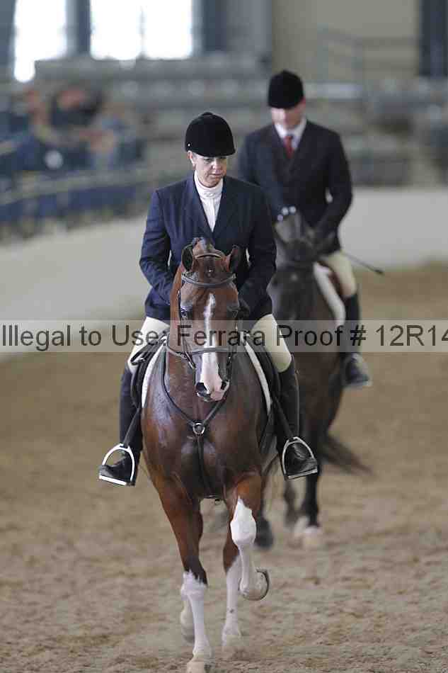 Proof 12r14_2178