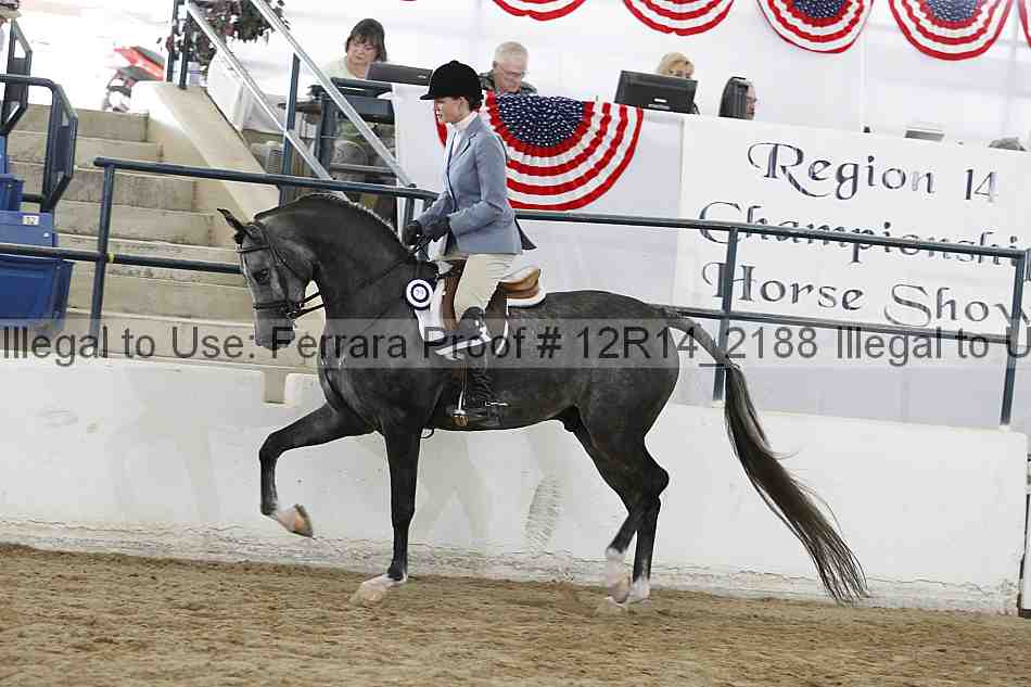 Proof 12r14_2188