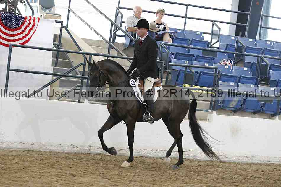 Proof 12r14_2189
