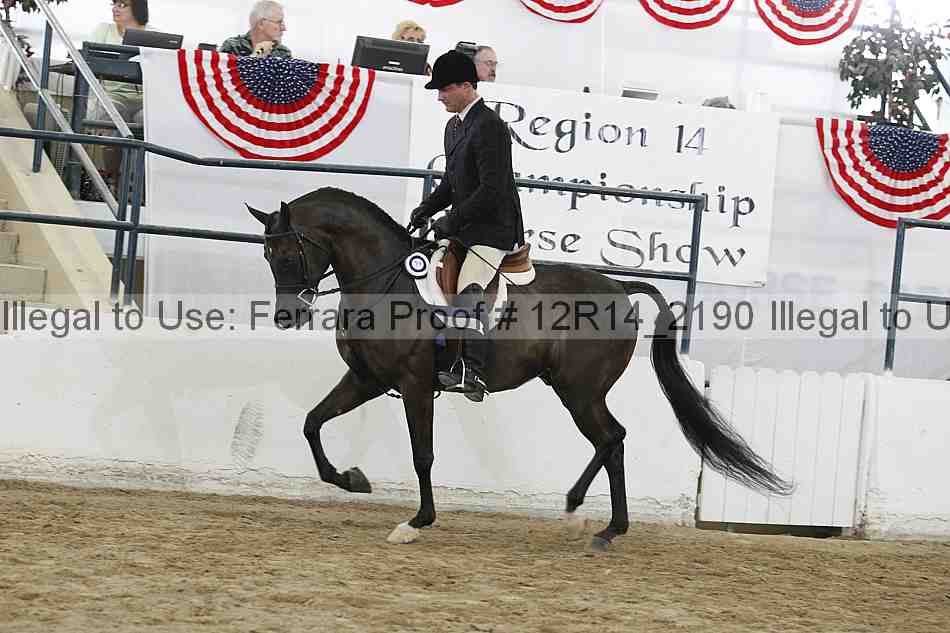 Proof 12r14_2190