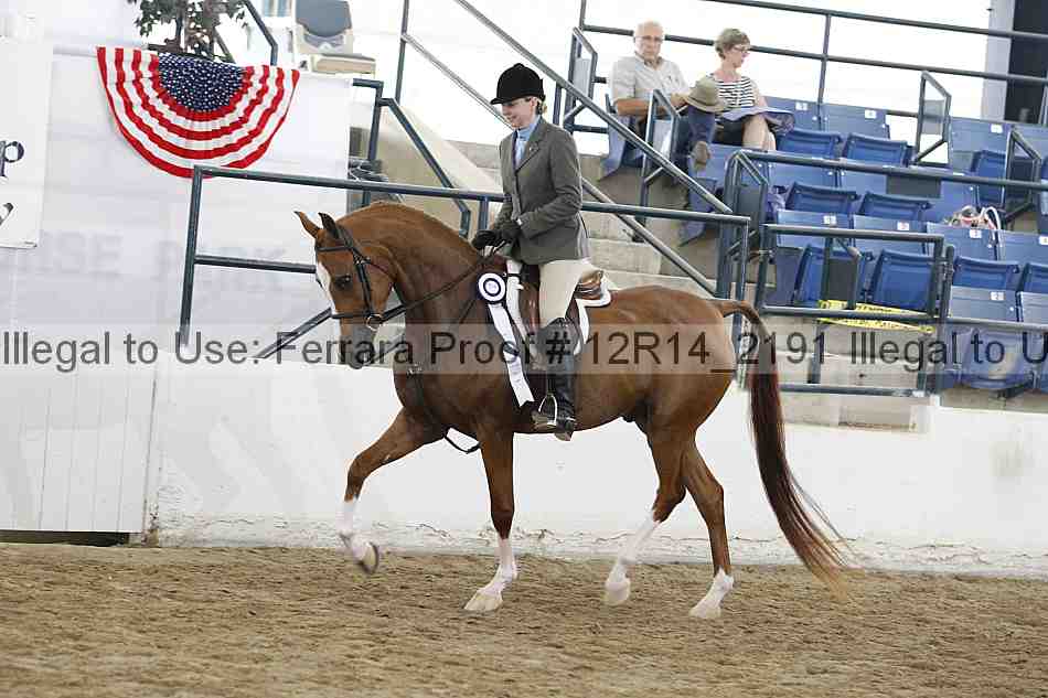 Proof 12r14_2191