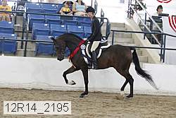 12r14_2195 proof