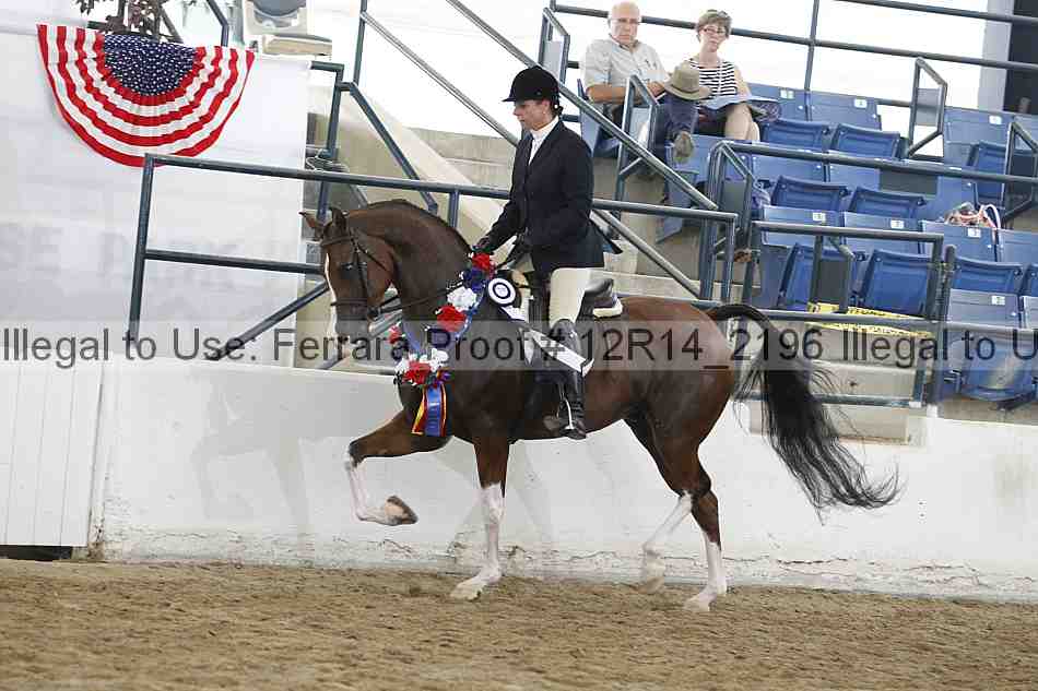 Proof 12r14_2196