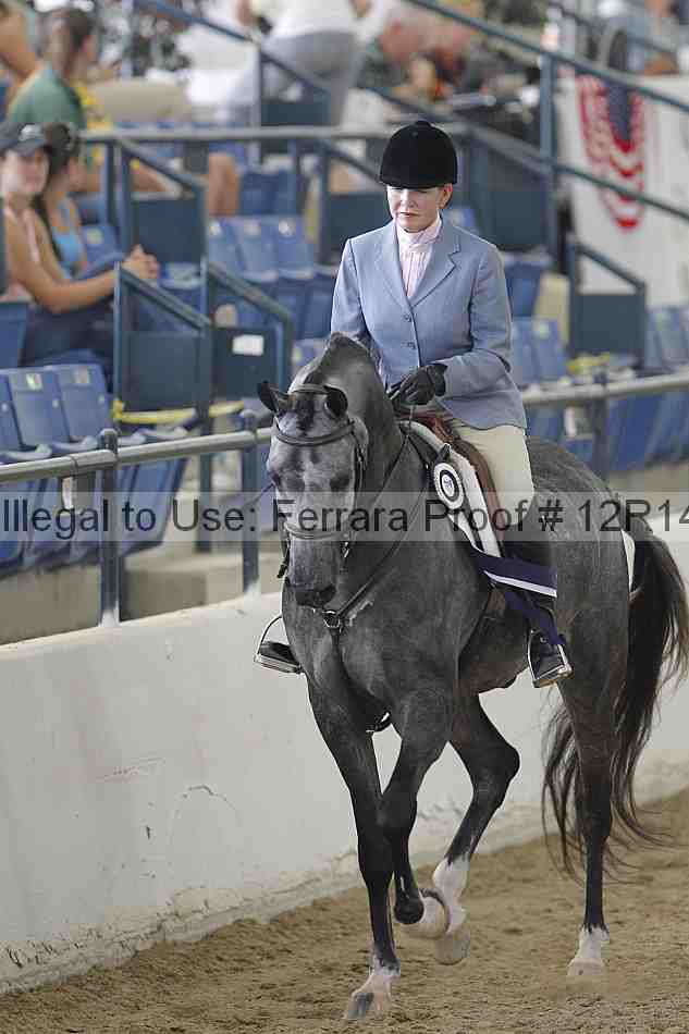 Proof 12r14_2198