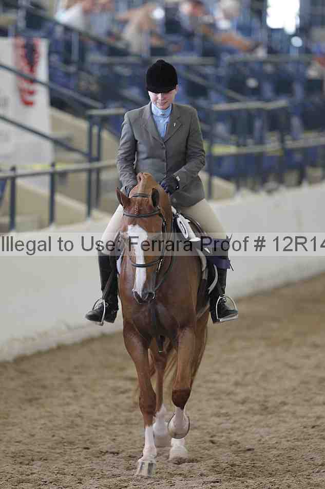 Proof 12r14_2201