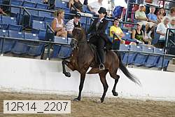 12r14_2207 proof
