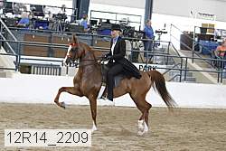 12r14_2209 proof