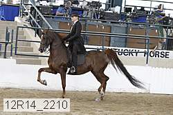 12r14_2210 proof