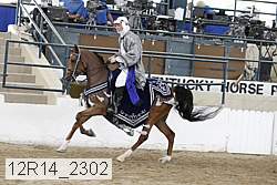 12r14_2302 proof