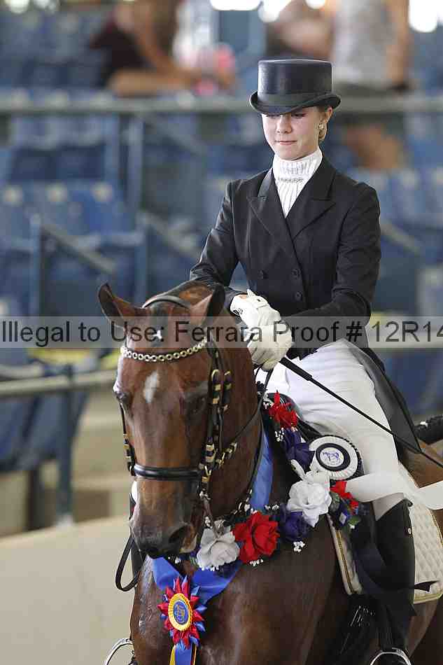 Proof 12r14_2373