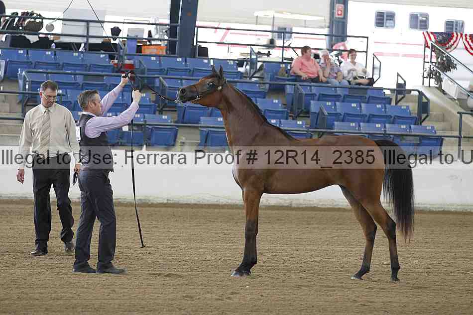 Proof 12r14_2385