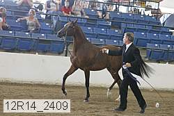 12r14_2409 proof