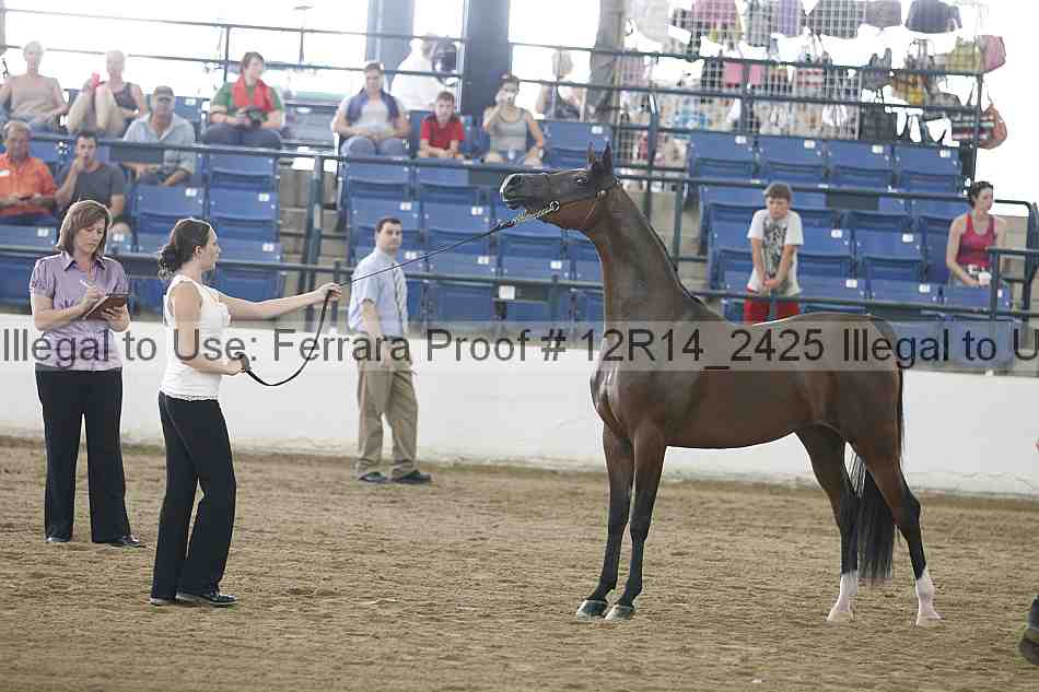 Proof 12r14_2425
