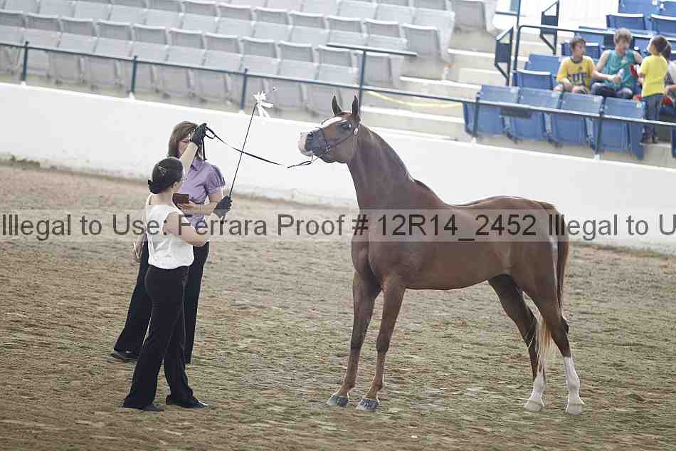Proof 12r14_2452