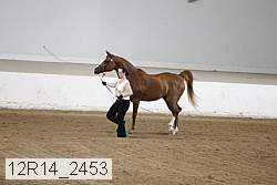 12r14_2453 proof