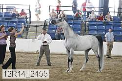 12r14_2455 proof