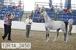 12r14_2456 proof
