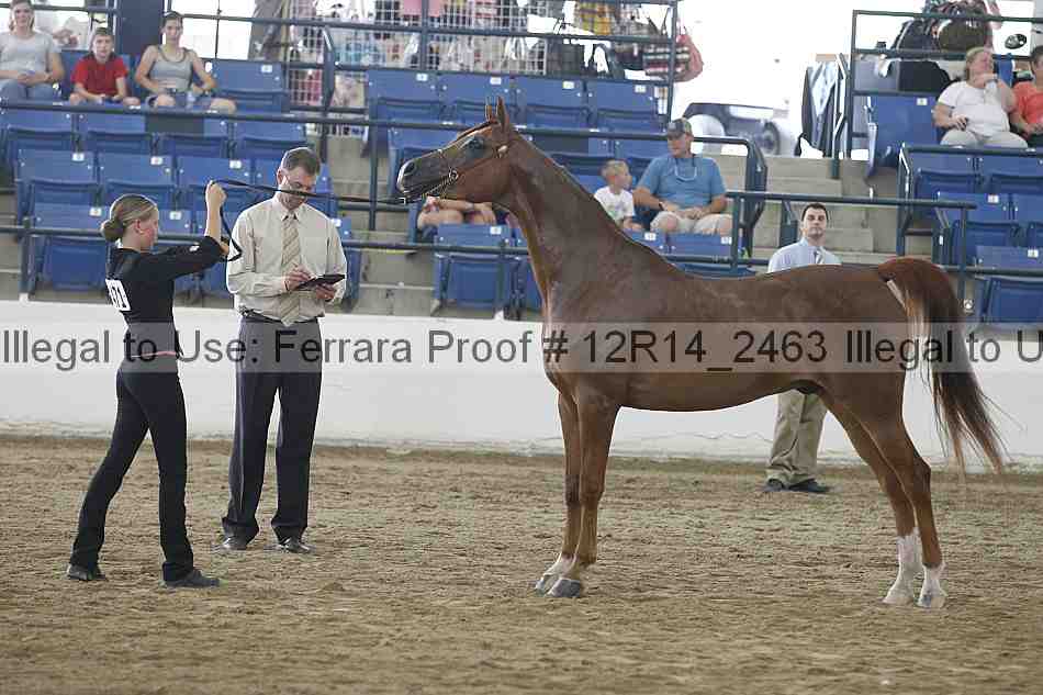 Proof 12r14_2463