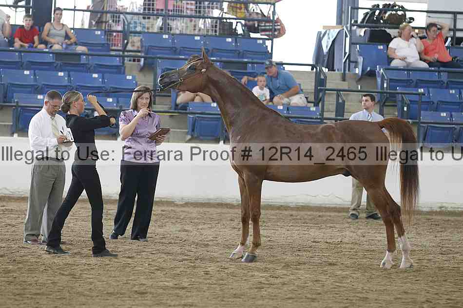 Proof 12r14_2465