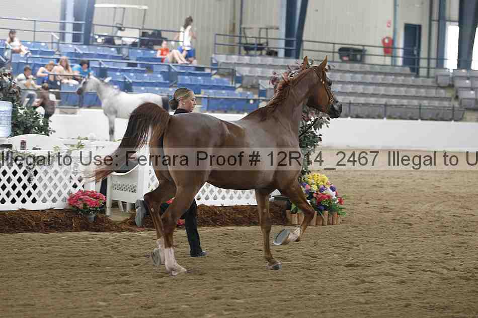 Proof 12r14_2467